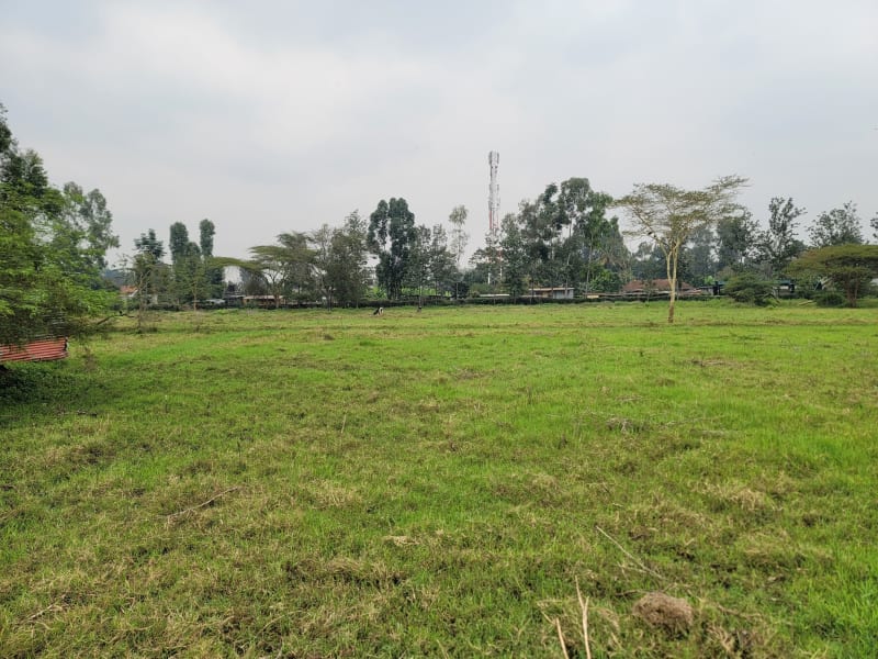 Exclusive 0.5 Acre Plot for Sale in Garden Estate
