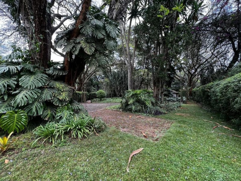 Prime 0.755-Acre Property for Sale on Riara Road